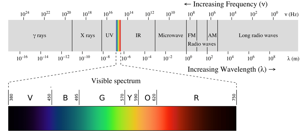 By Philip Ronan Gringer CC BY-SA 3.0